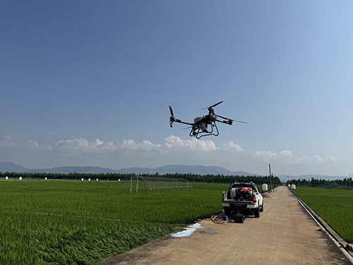 無人機“上崗”護航水稻豐產(chǎn).jpg 無人機“上崗”護航水稻豐產(chǎn).jpg