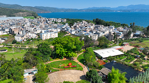 路居古榕,演繹人湖樹共生共榮千年神話2.jpg 路居古榕,演繹人湖樹共生共榮千年神話2.jpg