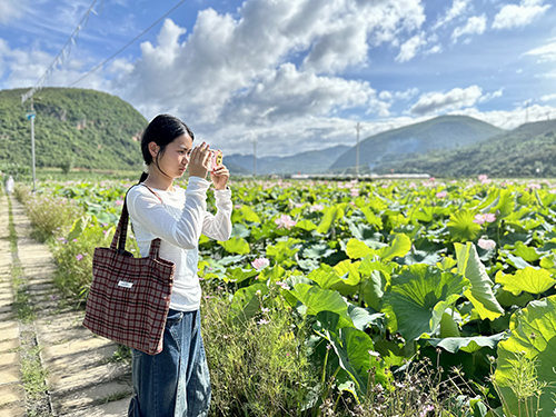 夏日旅游熱.jpg 夏日旅游熱.jpg