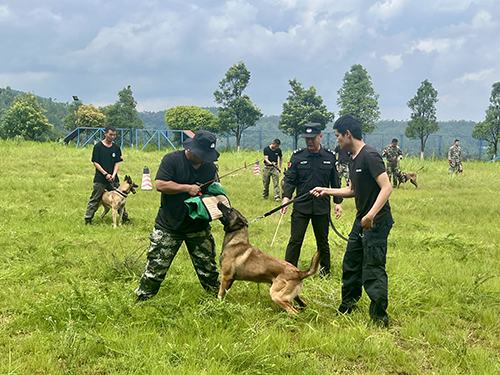 以犬為友護平安 薪火相傳鑄忠誠.jpg 以犬為友護平安 薪火相傳鑄忠誠.jpg