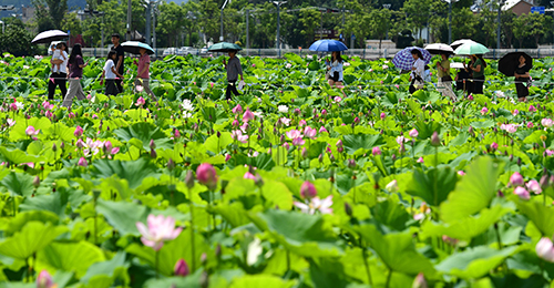 夏日美景引客來1.jpg 夏日美景引客來1.jpg