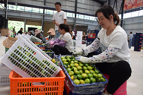 打造勞務(wù)“金名片”捧起增收“金飯碗”.jpg 打造勞務(wù)“金名片”捧起增收“金飯碗”.jpg