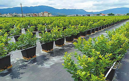 “建治調管宣戰”六項措施繪就湖泊生態新畫卷3.jpg