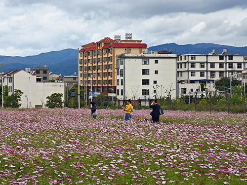 美麗玉溪文明游覽1.jpg 美麗玉溪文明游覽1.jpg