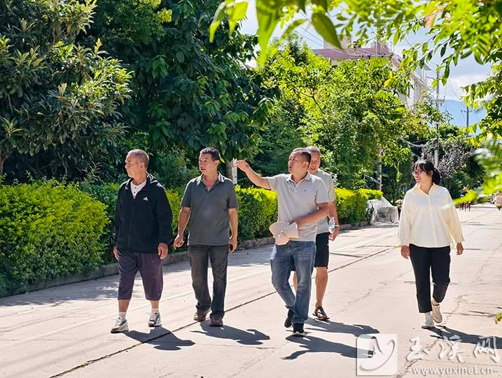 澄江市洋潦營新居的基層治理與農文旅融合之路2.jpg 澄江市洋潦營新居的基層治理與農文旅融合之路2.jpg