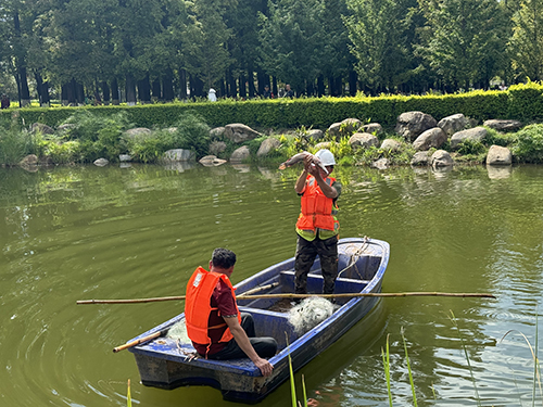 聶耳公園“怪魚”落網.jpg 聶耳公園“怪魚”落網.jpg