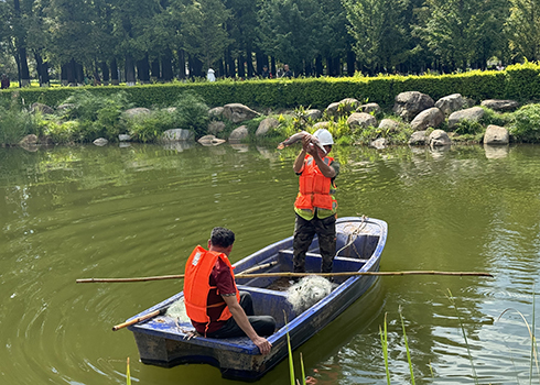 聶耳公園“怪魚”落網
