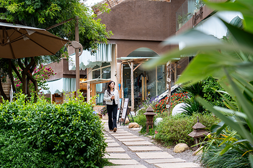 撫仙湖畔體驗旅游旅居“慢生活”.jpg 撫仙湖畔體驗旅游旅居“慢生活”.jpg