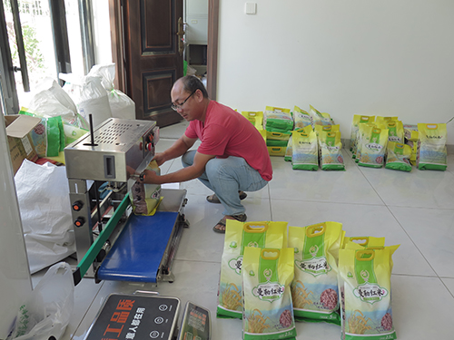 新平曼勒晚稻批量上市.jpg 新平曼勒晚稻批量上市.jpg