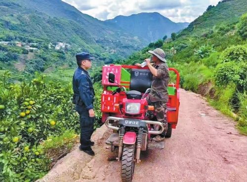 果園里的甜蜜守護.jpg 果園里的甜蜜守護.jpg