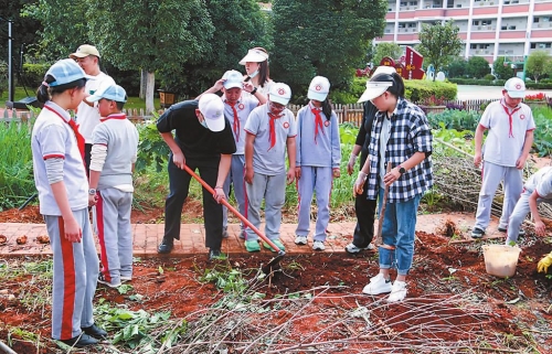 澄江市鳳山小學豐收節活動豐富多彩.jpg 澄江市鳳山小學豐收節活動豐富多彩.jpg