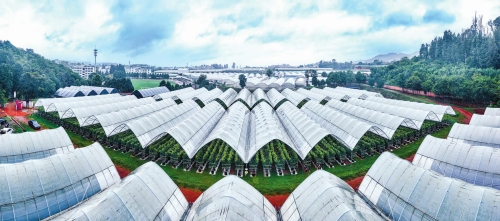 深耕特色水果技術創新 全鏈條服務賦能農業升級.jpg