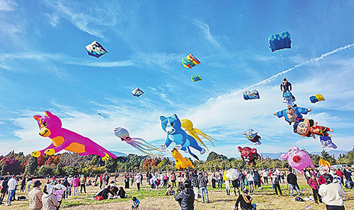 撫仙湖畔風(fēng)箏秀解鎖澄江旅居新體驗.jpg 撫仙湖畔風(fēng)箏秀解鎖澄江旅居新體驗.jpg