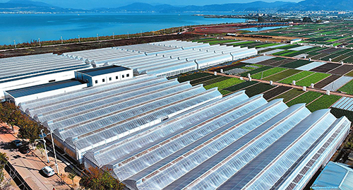 科技興農(nóng)增效增收.jpg 科技興農(nóng)增效增收.jpg