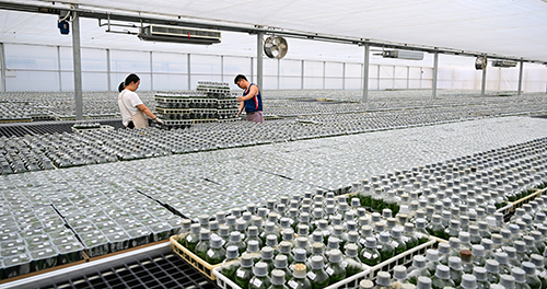 玉溪高原特色農(nóng)業(yè)提質(zhì)增效.jpg 玉溪高原特色農(nóng)業(yè)提質(zhì)增效.jpg