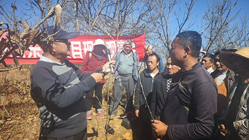 板栗栽培管理技術培訓舉辦.jpg 板栗栽培管理技術培訓舉辦.jpg