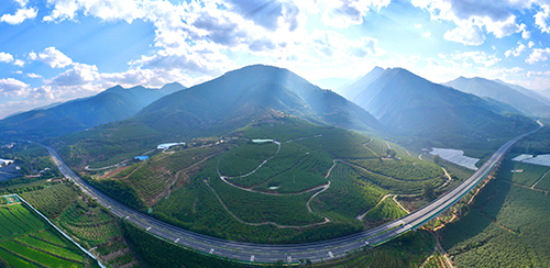 荒山披綠裝 碩果滿枝頭.jpg