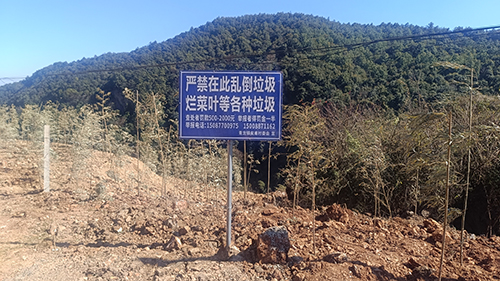 立行立改見真章 碧水清波終可期.jpg