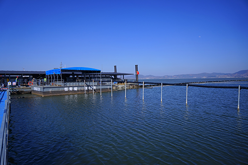 治杞麓湖生態難題 謀民生幸福之策4.jpg