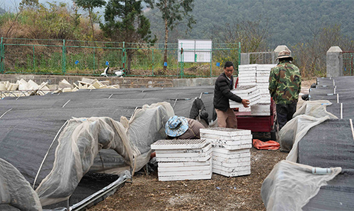 春耕育苗 孕育新景.jpg