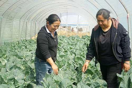 以水為墨繪振興 履職為民踐初心.jpg