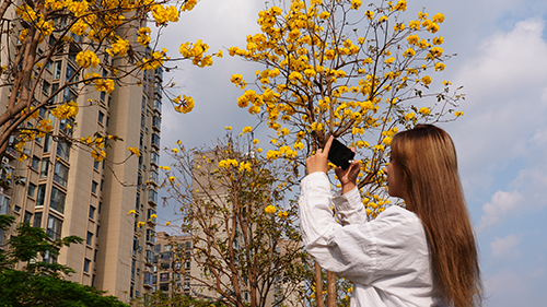 春日繁花開 美景入畫來(lái).jpg 春日繁花開 美景入畫來(lái).jpg
