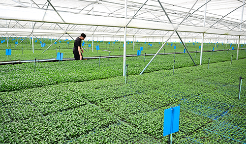 繪就農業強農村美農民富新圖景.jpg 繪就農業強農村美農民富新圖景.jpg