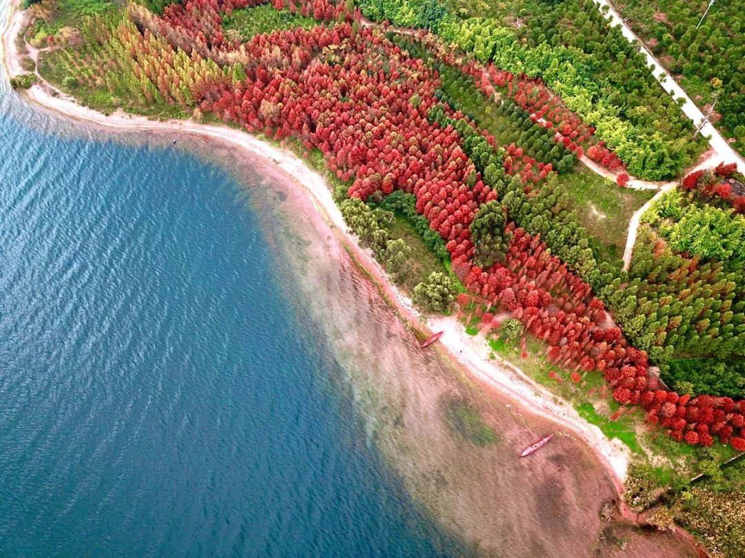 1. 附件1.jpg 1. 附件1.jpg